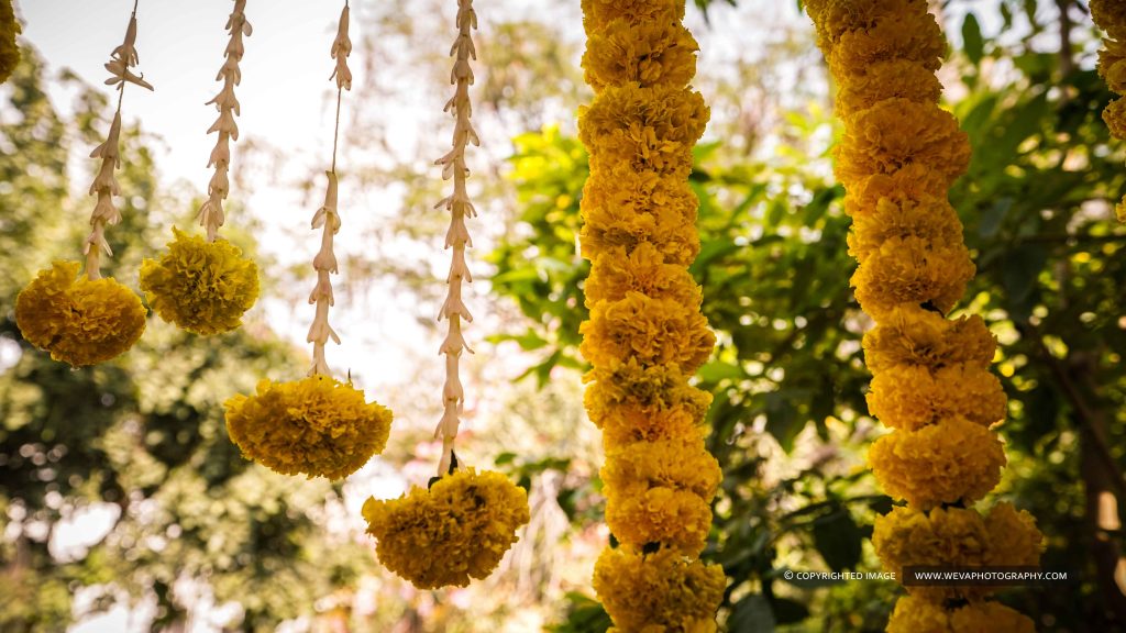 Haldi Photography Of Kavya