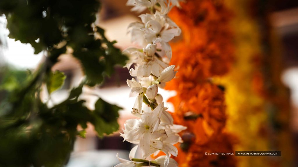 Guruvayur Wedding Photoshoot