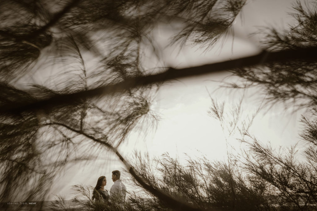 Marari Beach resorts