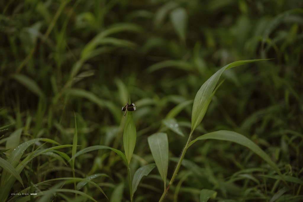 Kunnathur Mana Heritage Resort